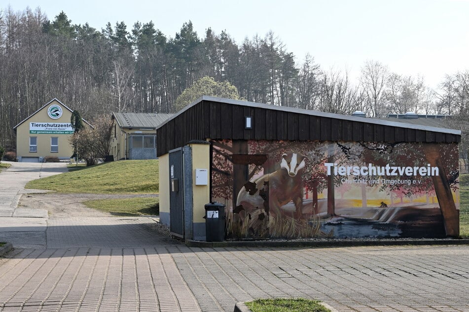 Das Tierheim in Chemnitz musste schon viele Abgabeanfragen ablehnen.