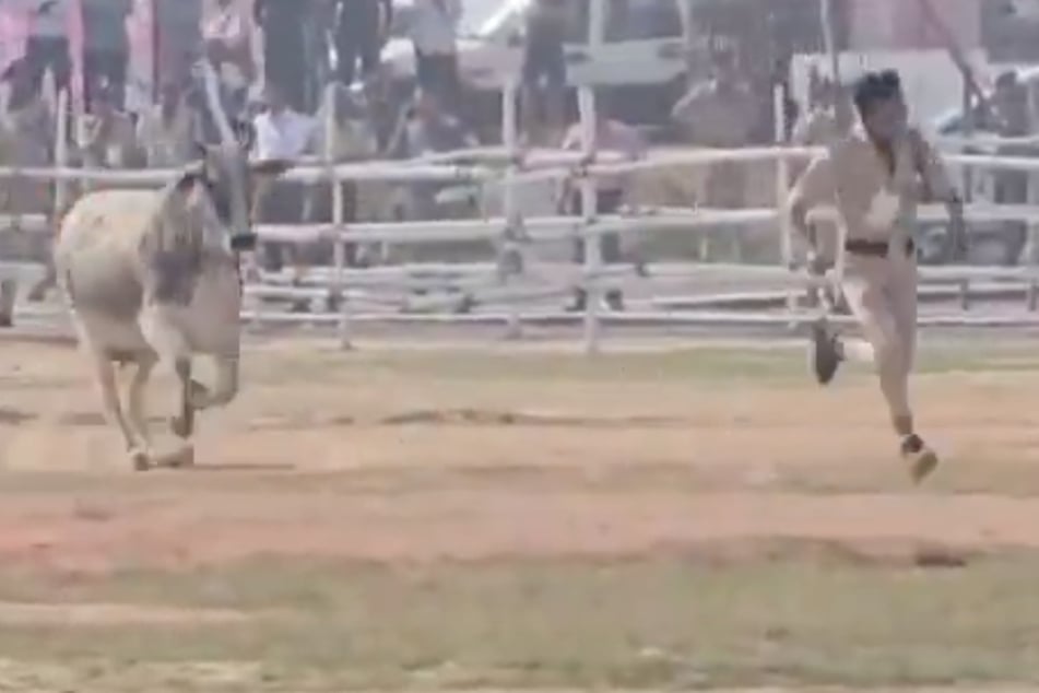 Wildes Tier stürmt Hubschrauberlandeplatz: Polizist sprintet los