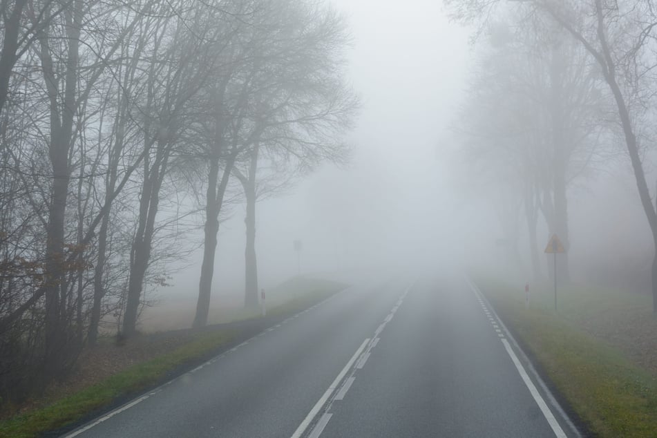 Wenn sich Luft abkühlt und die Luftfeuchte 100 Prozent erreicht, kann Nebel entstehen, lernen die Follower.