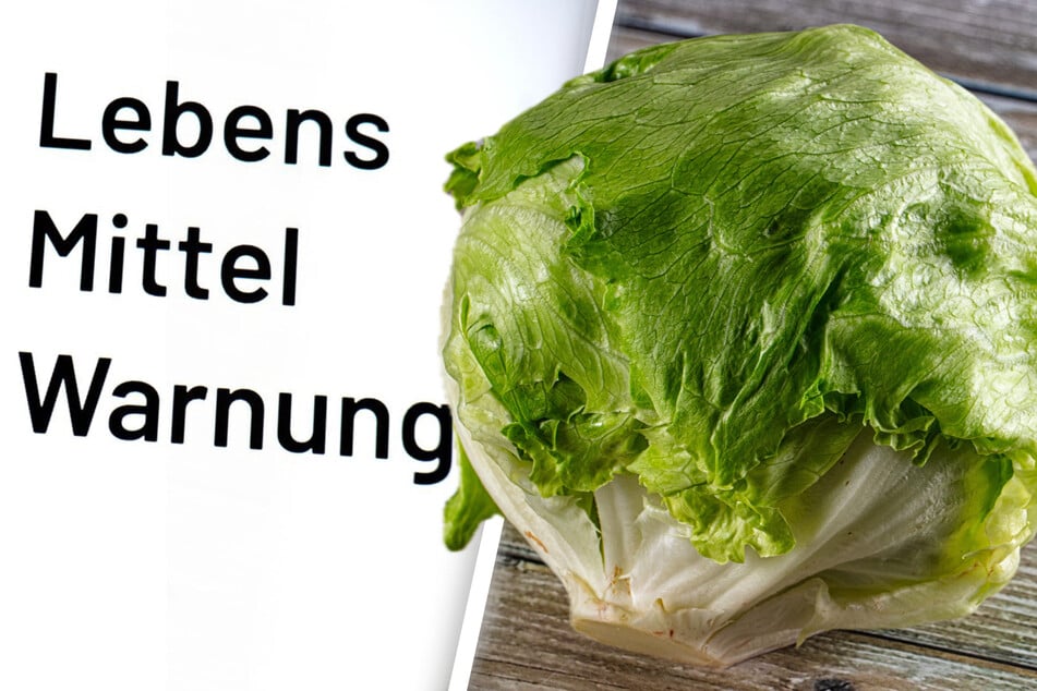 Salmonellen-Alarm bei Edeka: Finger weg von diesem Salat