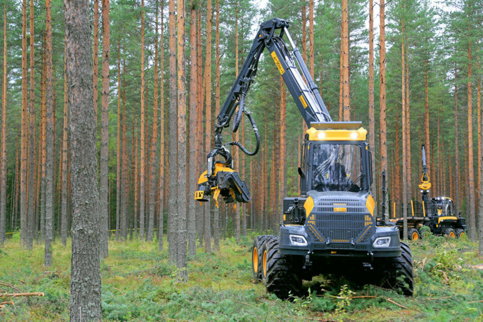 Ein Harvester brannte im Saale-Holzland-Kreis. Der Schaden ist enorm. (Symbolfoto)