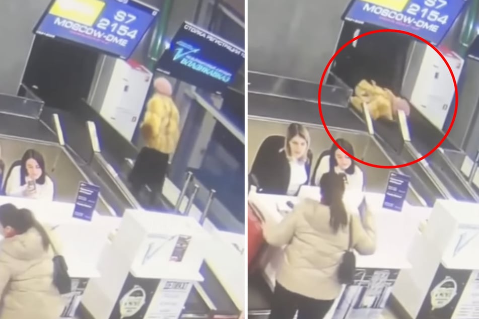 Fatal mix-up at the airport: a granny gets onto the baggage carousel and disappears