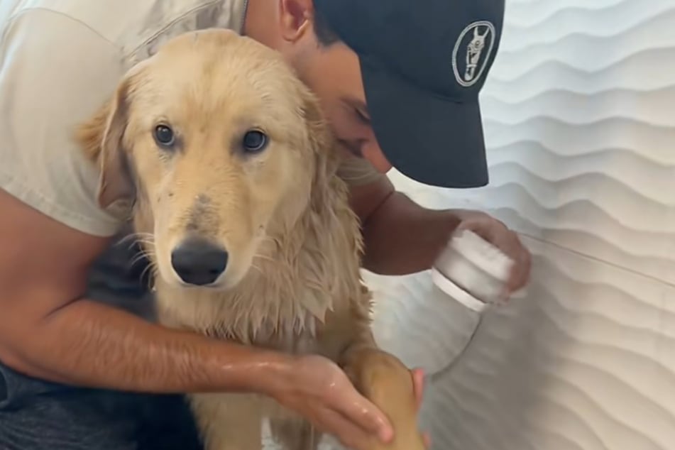 Golden Retriever Goose ist die Dusche nicht geheuer. Aber er bleibt tapfer.