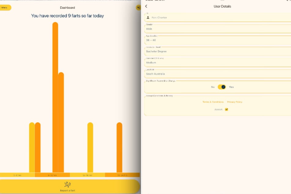 In der App soll nicht nur die Anzahl der Pupse eingetragen werden, sondern auch Geruch, Lautstärke und Dauer in der Luft.