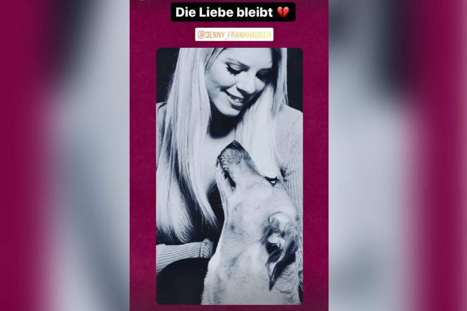 Jennys Halbschwester Daniela Katzenberger schrieb in ihrer Story: "Die Liebe bleibt 💔". (Screenshot)