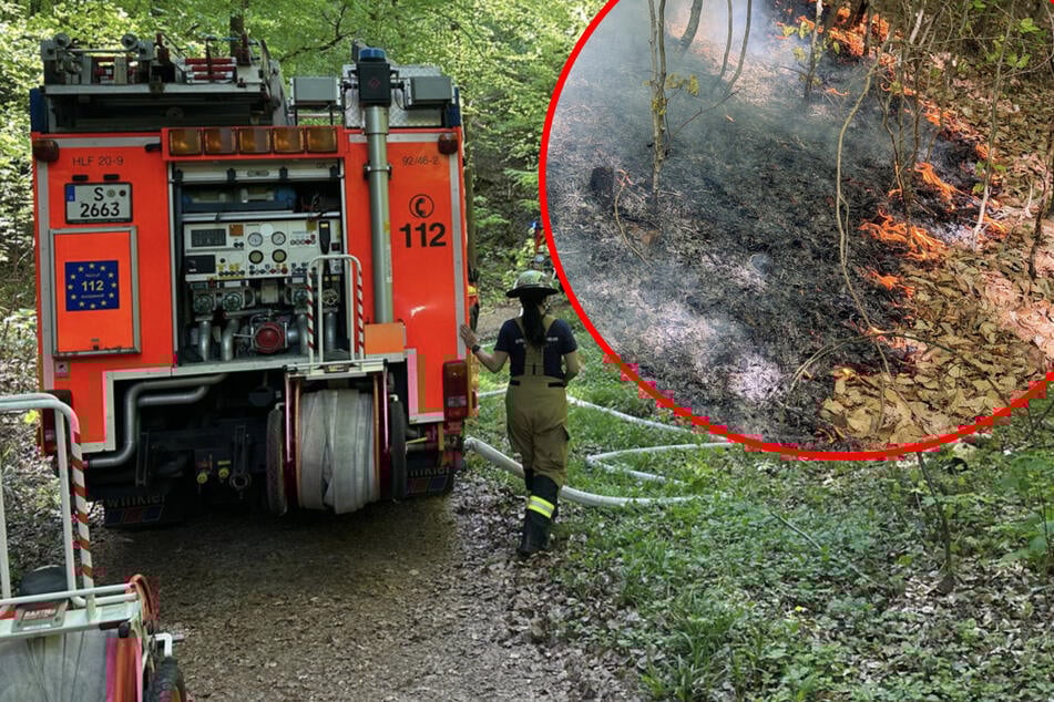 Stuttgart: Gelände stellt Feuerwehr vor Herausforderungen: Steiler Hang bei Stuttgart in Flammen