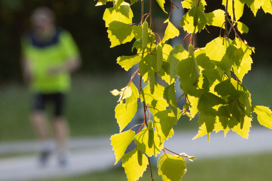 Die Leiche eines 21-jährigen Joggers wurde gefunden. (Symbolbild)