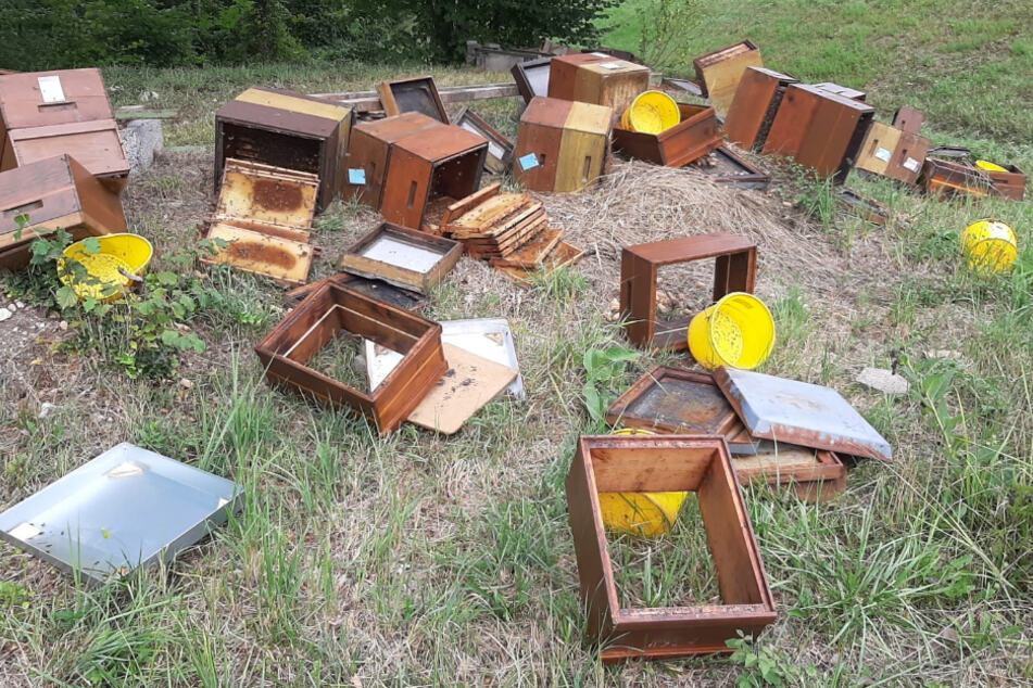 Beschädigte Bienenstöcke liegen auf einer Wiese. Ein Unbekannter hat einen Bienenstand beschädigt und so vermutlich den Tod Hunderter Bienen verursacht.