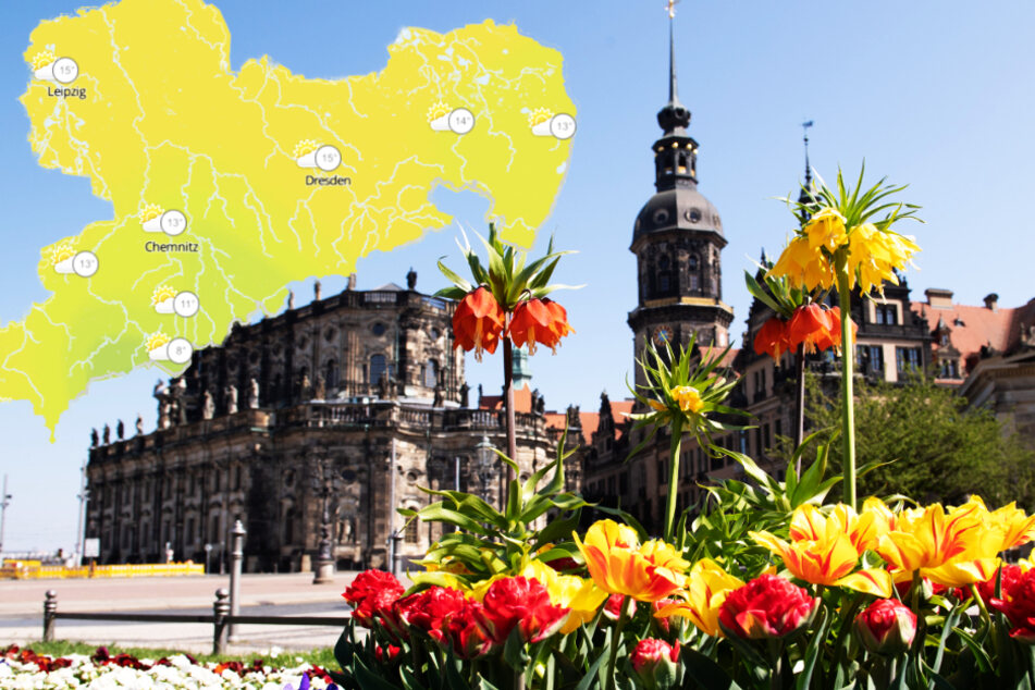 Wetter: So wird der Sommer in Dresden