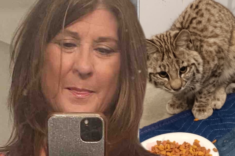 Frau nimmt "exotische" Katze bei sich auf: Als sie die Wahrheit erkennt, folgt der Schock