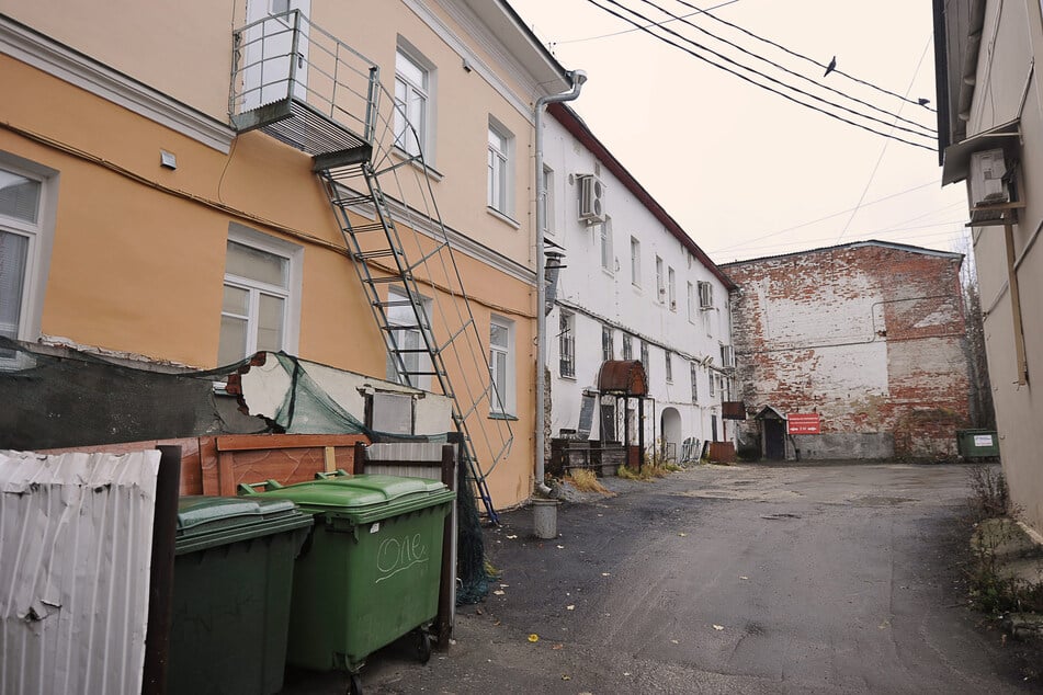 Die Fellnase lebte jahrelang in Rumänien auf der Straße und kämpfte ums blanke Überleben. (Symbolfoto)