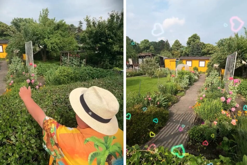 "So muss ein Garten aussehen", schwärmt Michael Baumann und lobt die Besitzer dieser Parzelle.