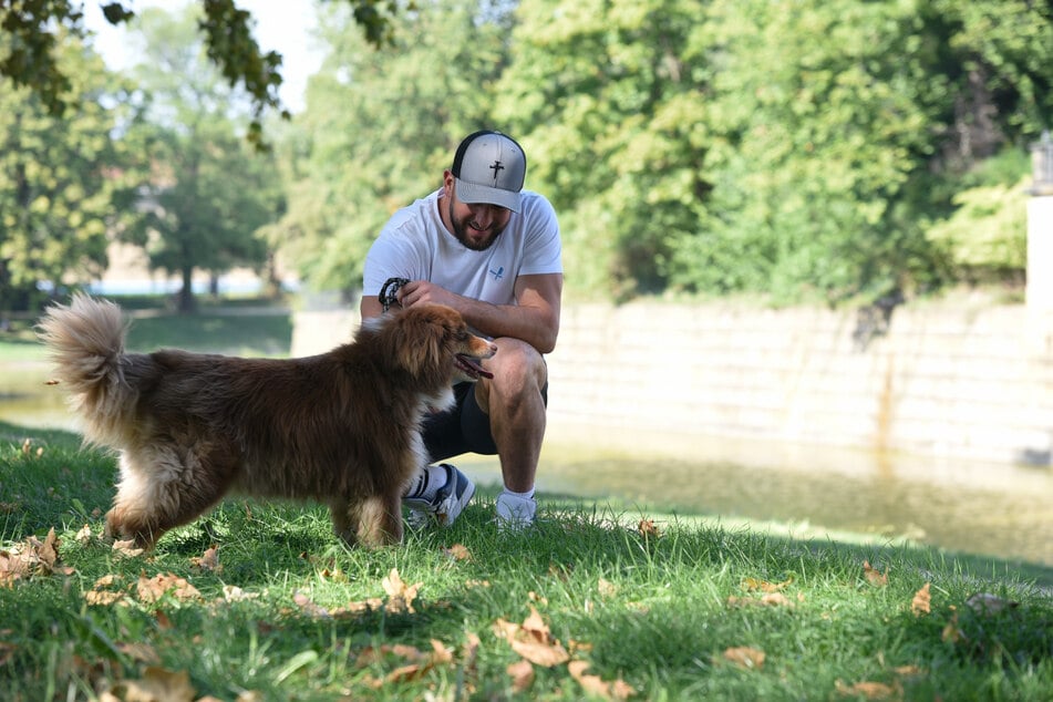 Auch mit zwölf Jahren kann Jax noch mit seinem Herrchen wild toben.