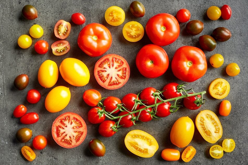 Mit verschiedenen Sorten kann man getrocknete Tomaten selber machen.