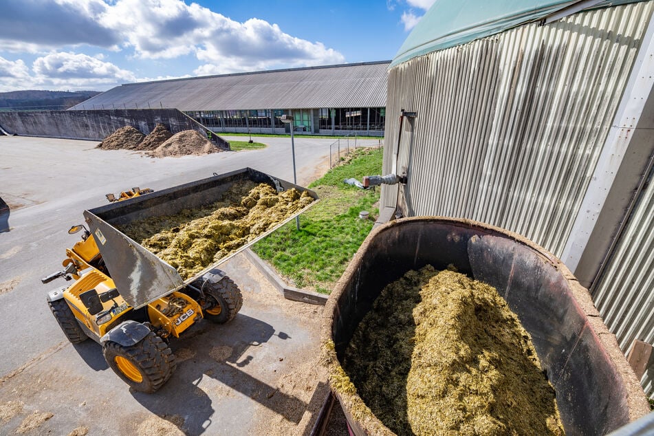 Ein Radlager beim "Füttern" der Biogasanlage.