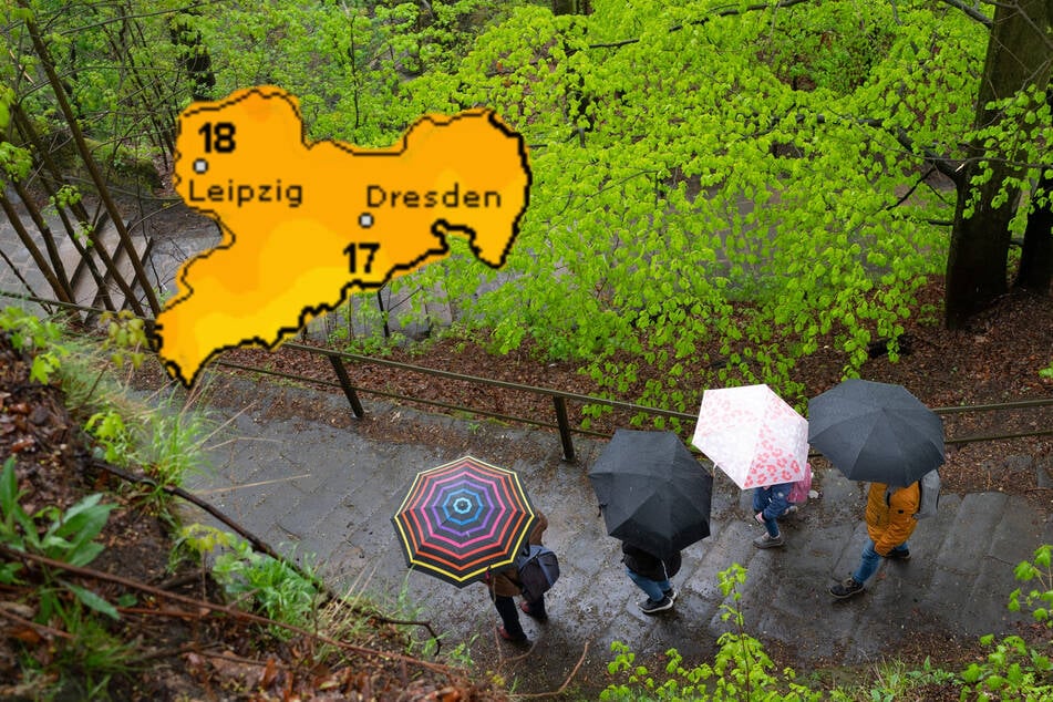 Wer zum Feiertag am Donnerstag einen Ausflug plant, sollte sich wetterfest anziehen.
