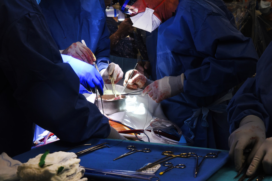 Ärzte operieren an einem Schweineherz, das in einen menschlichen Patienten eingesetzt wird.