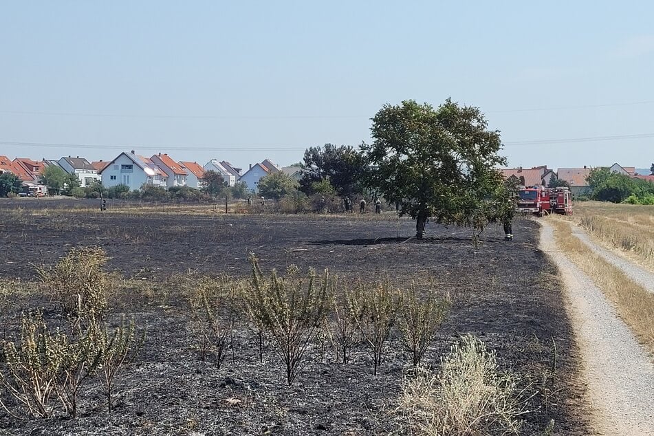 Stuttgart: Flammen kamen Waldstück und Wohnhäusern immer näher