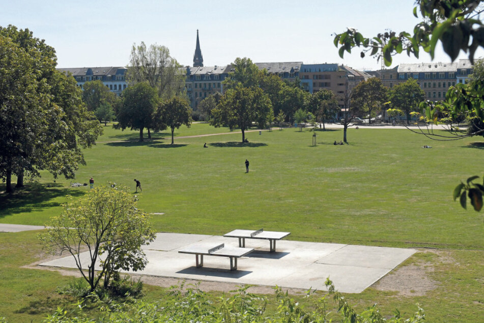 Im Alaunpark könnten Sportgeräte aufgestellt werden.