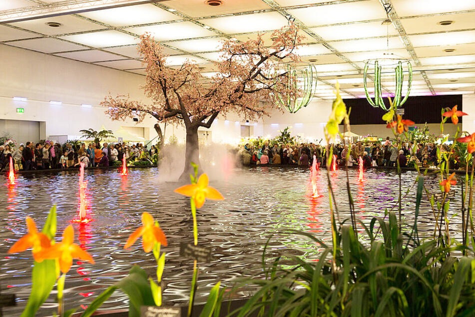 Zur Messe DRESDNER OSTERN erwartet Besucher vier Tage lang dieses wunderschöne Blumenmeer in HALLE 1.