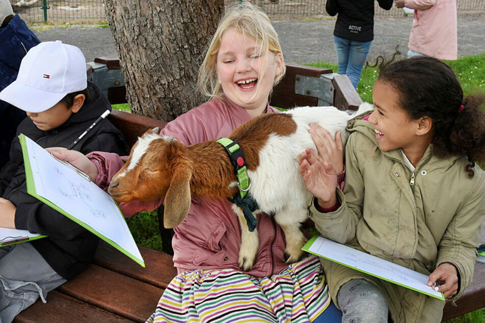Die Schüler der Thomas-Müntzer-Grundschule in Schkeuditz kümmern sich im Rahmen des Unterrichts teilweise auch um die schuleigenen Tiere.