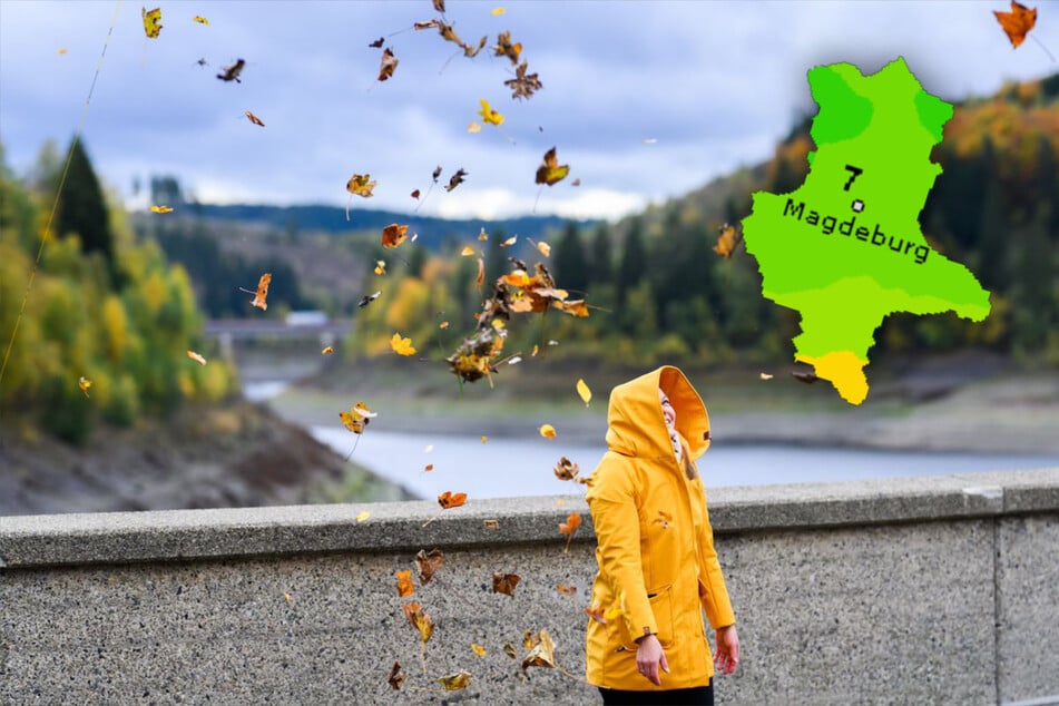 Erster Schnee im Harz? So wird das Wetter in Sachsen-Anhalt am Wochenende