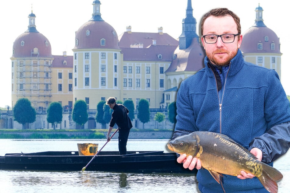 Tonnenweise tote Karpfen in Moritzburg! Jetzt geht die Angst vor dem Virus um