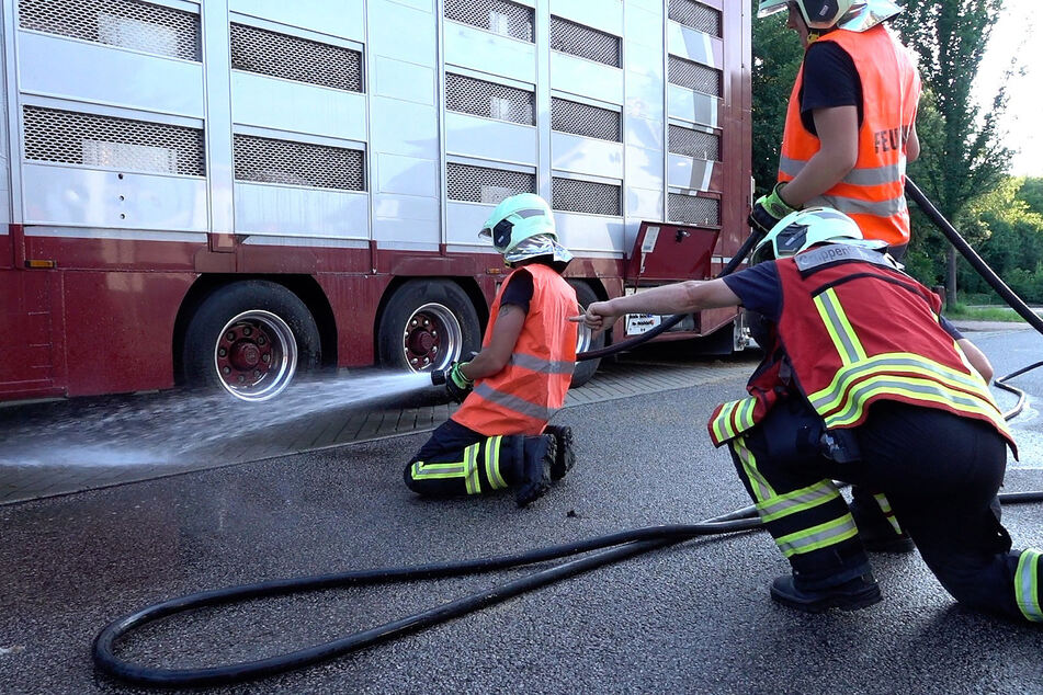 Die Feuerwehr versuchte alles, um es den Tieren angenehmer zu gestalten.
