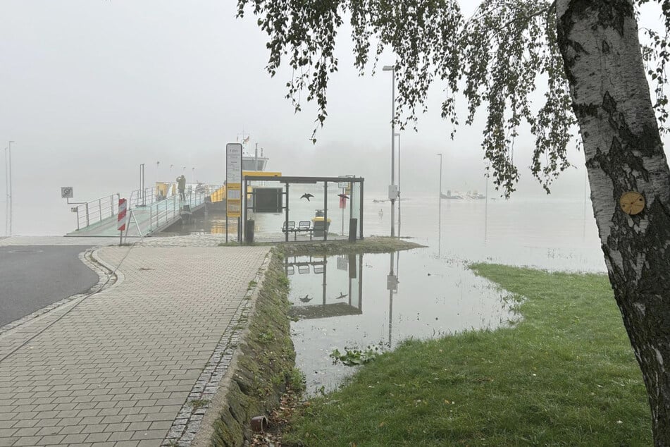 Die Autofähre zwischen Kleinzschachwitz und Pillnitz hat ihren Betrieb seit Sonntag wegen des Hochwassers eingestellt.