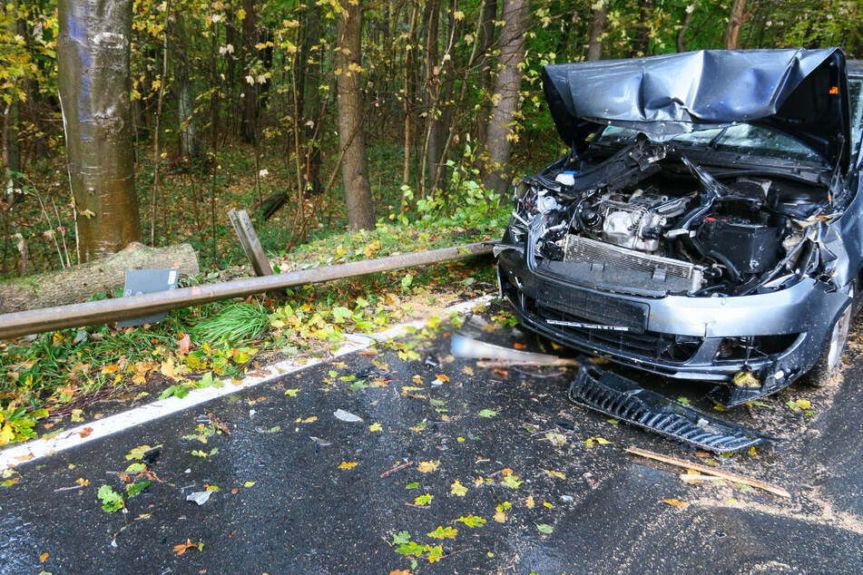 Ein Skoda kollidierte bei Aue mit einem umgestürzten Baum.