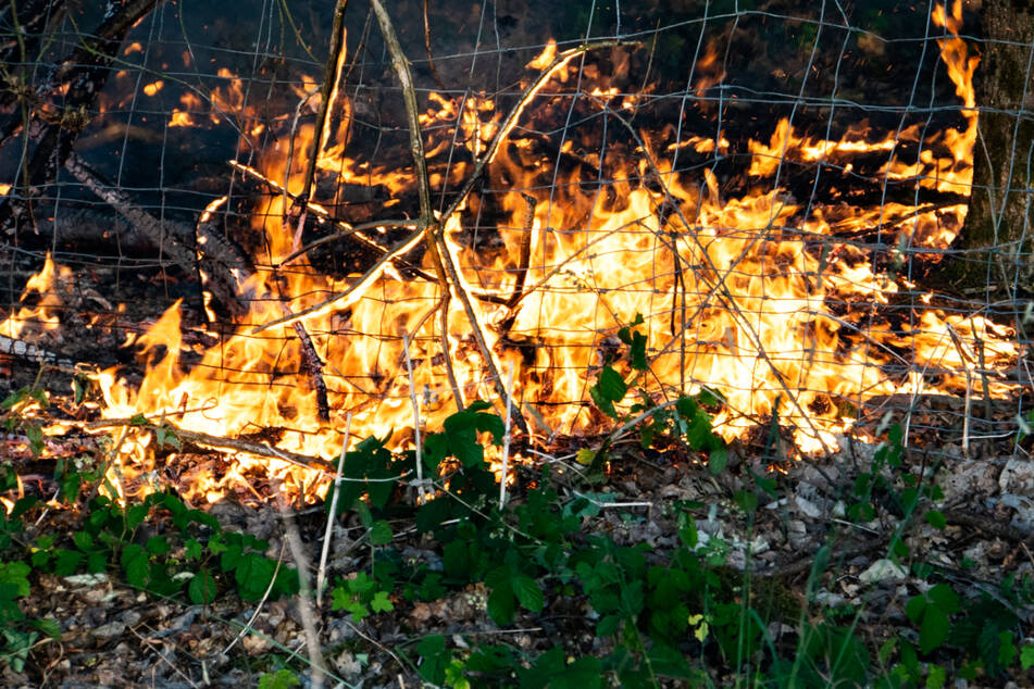 Auch bei Heusenstamm westlich von Hainburg brannte am Sonntag der Wald lichterloh.