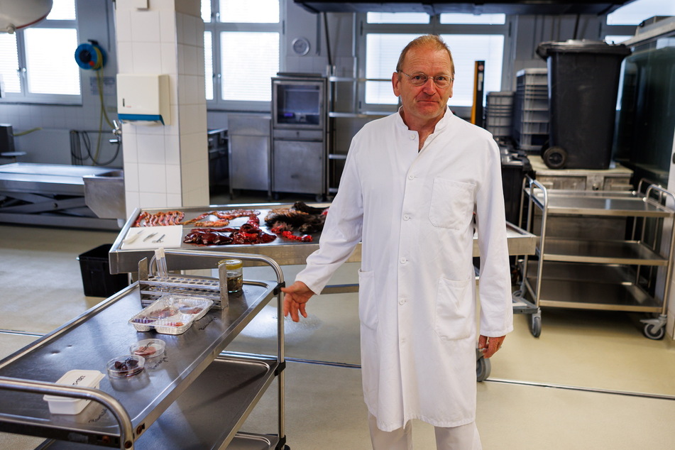Michael Hardt (59) ist Fachtierarzt für Pathologie und Bienen und Chef von Sachsens Imkerverband.
