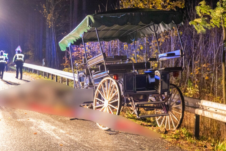 Die Kutsche war mit sieben Personen besetzt, die zum Teil schwer verletzt wurden.