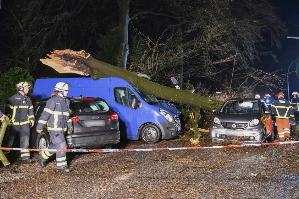 Ein Baum stürzte in Hamburg-Winterhude auf mehrere Autos.