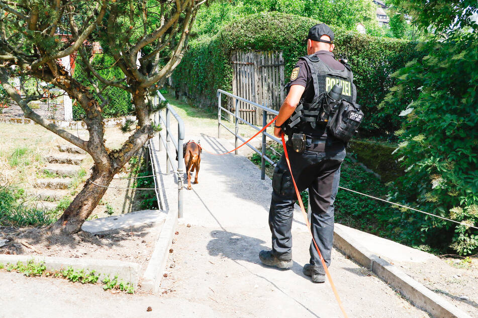 Spürhunde suchten nach dem Täter.