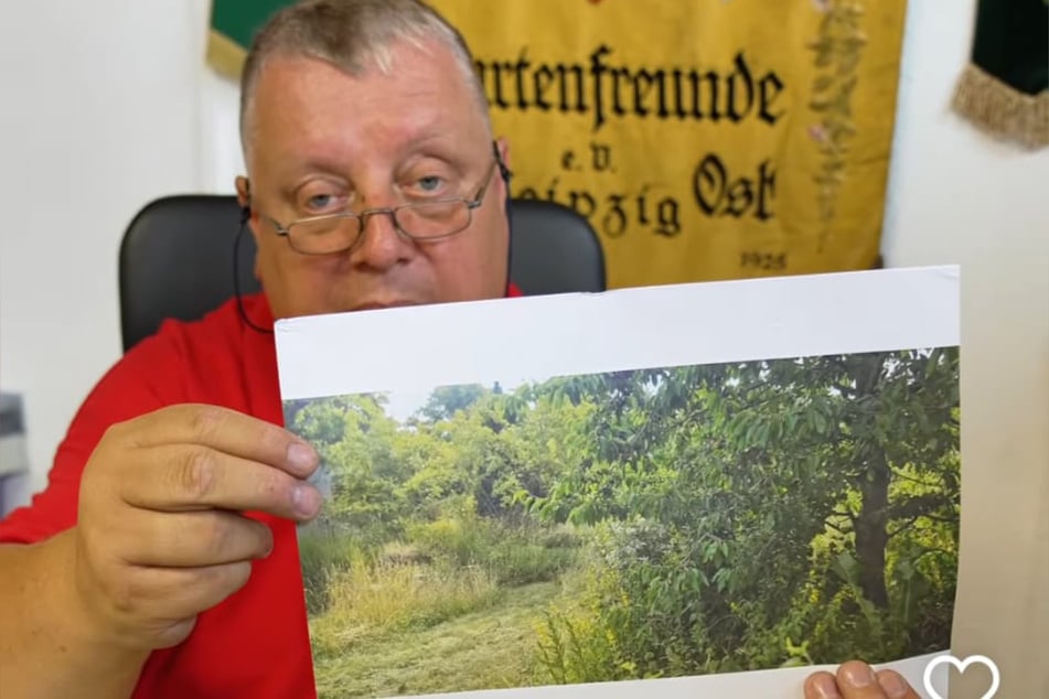 Diese Parzelle ähnelt eher einer Kuhweide, als einem Kleingarten, meint Michael Baumann (62).