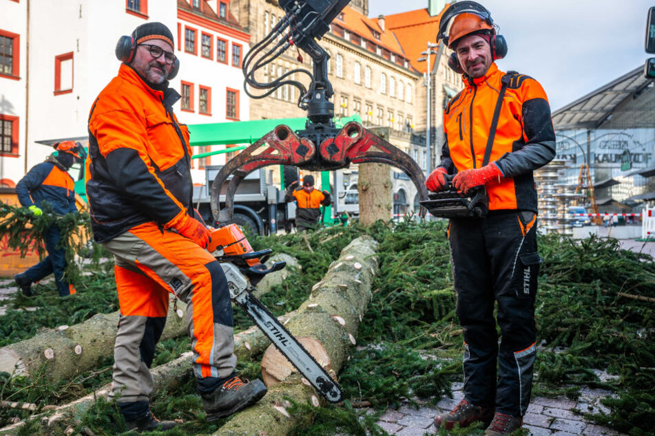 Carsten Schmidt (53, l.), Leiter der Baumpflege im Grünflächenamt, und Mitarbeiter André Landgraf (36), an der abgetragenen Weihnachtsfichte auf dem Markt.
