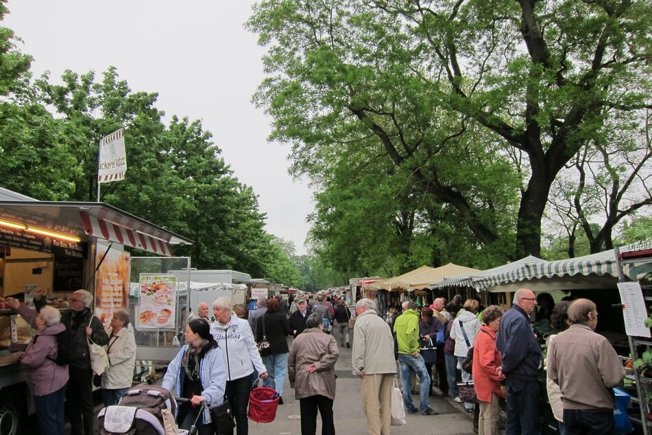 Der Sachsenmarkt an der Lingnerallee im Dresdner Zentrum.