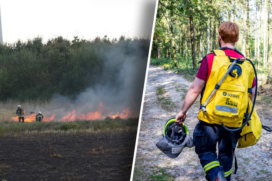 Sachsens Wälder in höchster Brandgefahr!