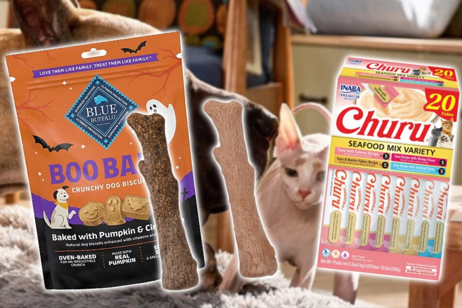 Your pets will love these fun treats at Chewy
