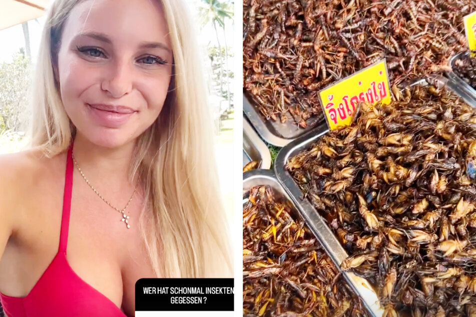 Auf einem Markt in Thailand stieß Franzi (27) auf Unmengen von bereits zubereiteten und zum Verzehr gedachten Insekten - sie wollte diese "unbedingt" probieren.