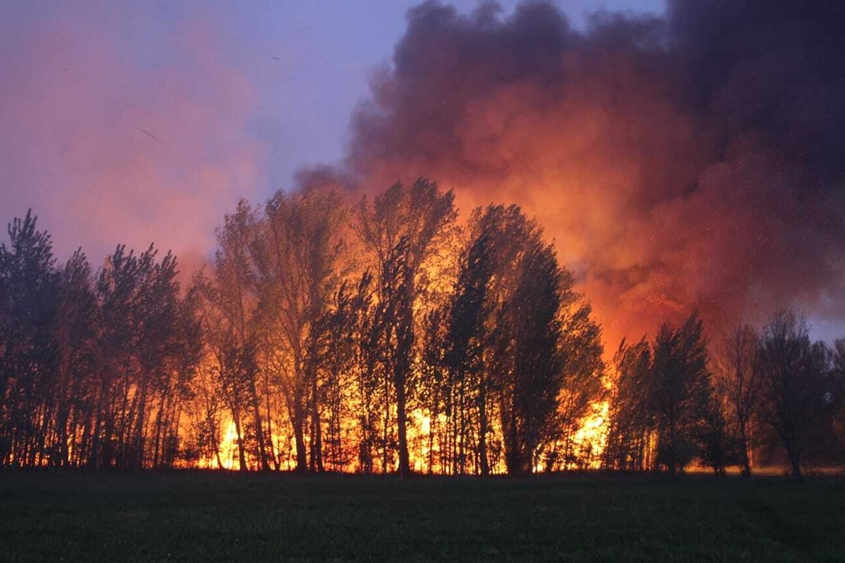 Im Stadtpark Schönauer Lachen in Leipzig kam es am Dienstagabend zu einem Flächenbrand.