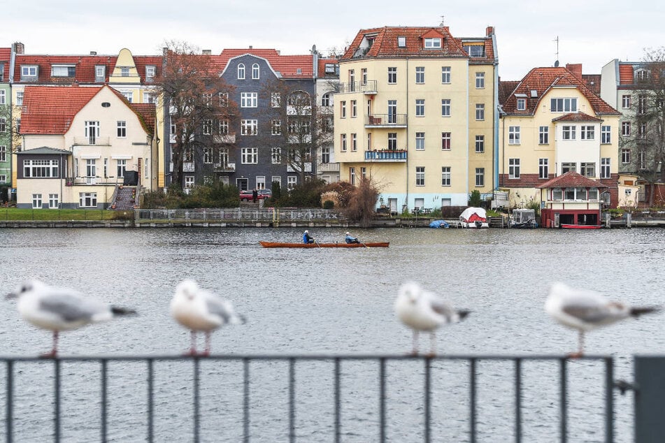 Berlin: Grusel-Fund in Berlin: Leiche aus der Spree gezogen