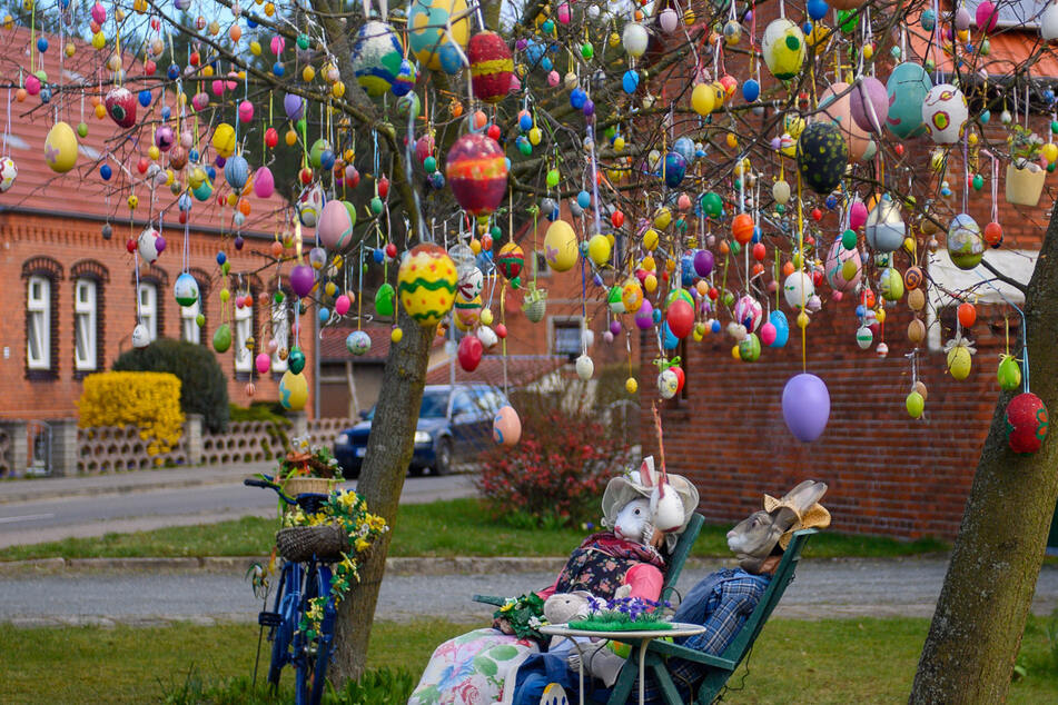 Osterbaum mit 2223 Eiern behangen: Jeder darf mitmachen