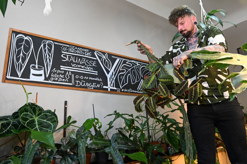 Tony Wolf zeigt Morgenpost-Reporterin Katrin Koch stolz seine Zimmerpflanzen.
