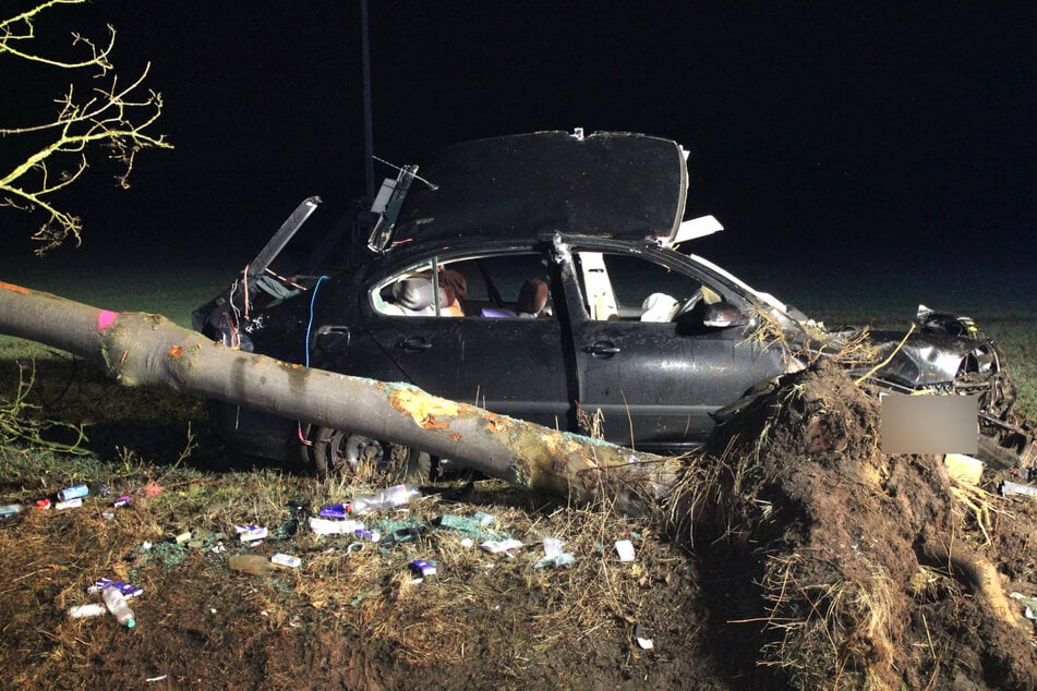 Ein Baum wurde durch den Crash entwurzelt.