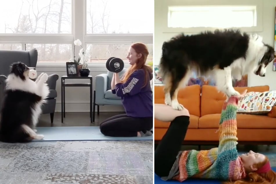 Woman and incredibly talented dog amaze Instagram users with their relationship!