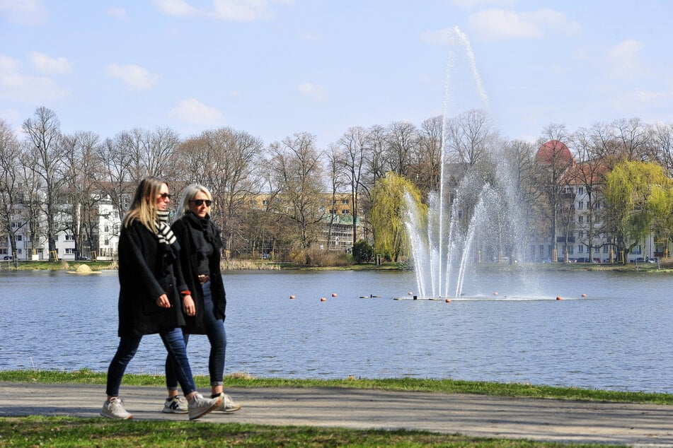 Die Fontäne am Schlossteich ist der erste von 16 städtischen "Brunnen", die über den Sommer sprudeln.