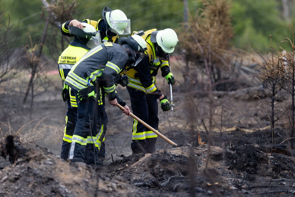 Feuerwehrleute bekämpfen am Montag versteckte Glutnester beim Waldbrand auf der Saalfelder Höhe.
