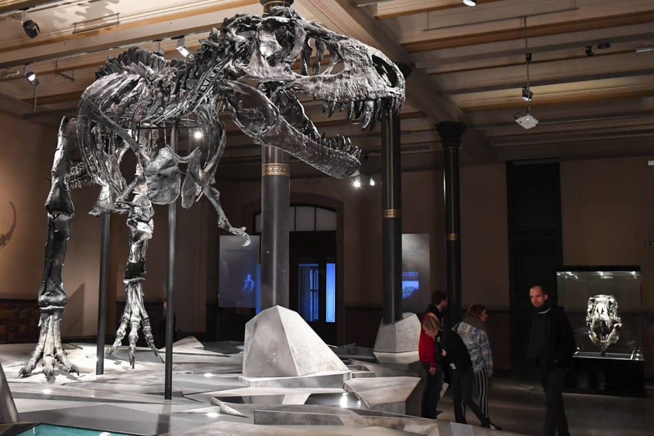 Kann man sich Tristan im Berliner Naturkundemuseum bald wieder gratis anschauen?